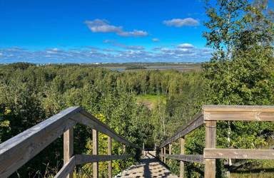 Herttoniemi kuntoportaat