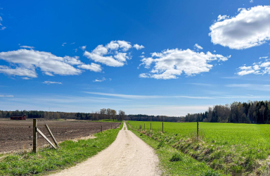 Maalaismaisemaa Viikissä