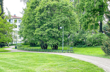 Puisto Käpylänkuja