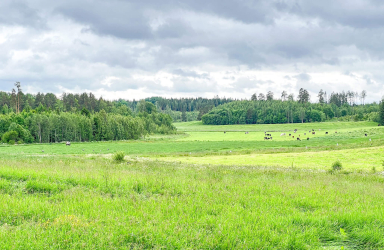 Vihti maalaismaisemaa