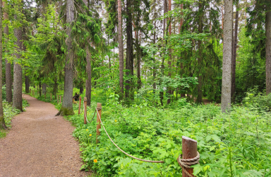 Metsän ulkoilumaastot Vuosaari