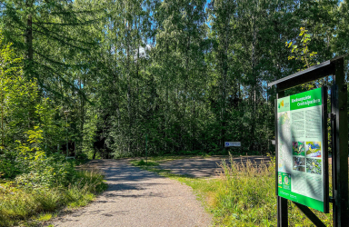 Ulkoilureittejä Keskuspuistossa