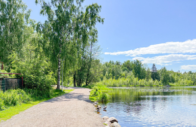 Lammaslampi Pähkinärinne Länsi-Vantaa