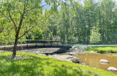 Luontoa Ankkapuistossa Korsossa