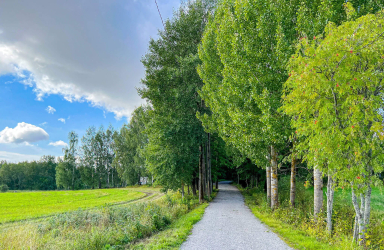 Malmi kestikievarinpuisto