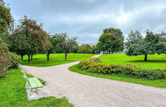 Pajalahdenpuisto Lauttasaari