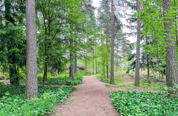 Myllypuro ulkoilureitit