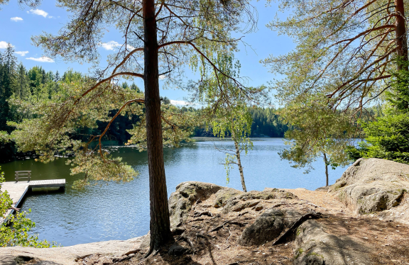 Suolijärvi Hervanta